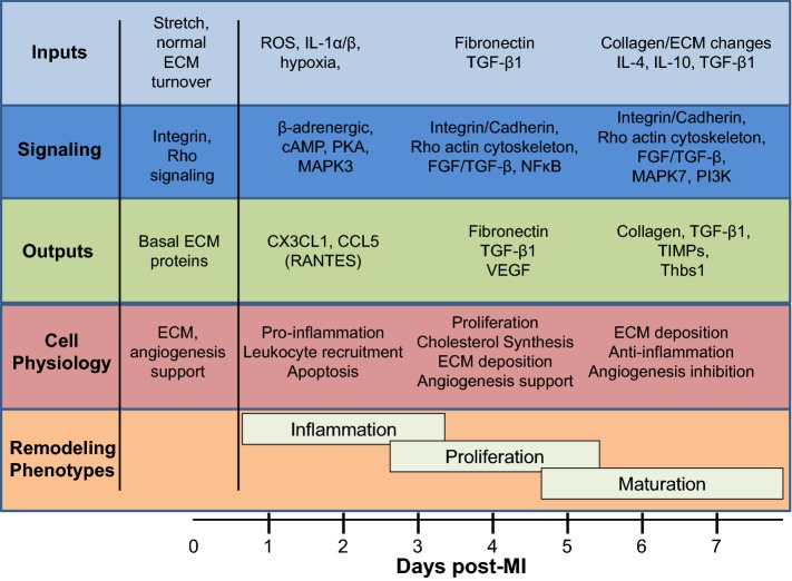 Fig. 9