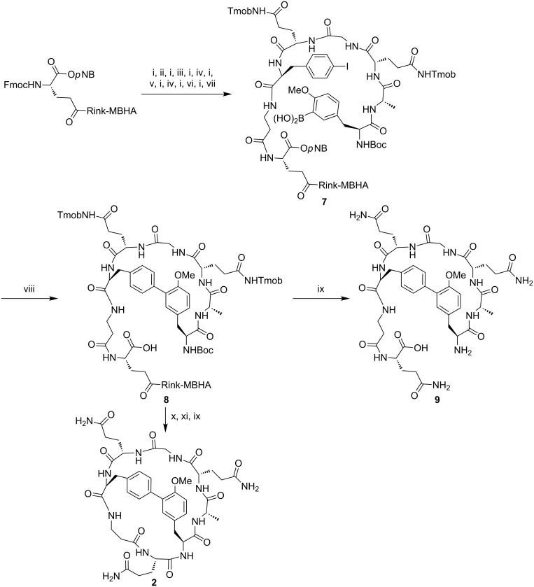 Scheme 3