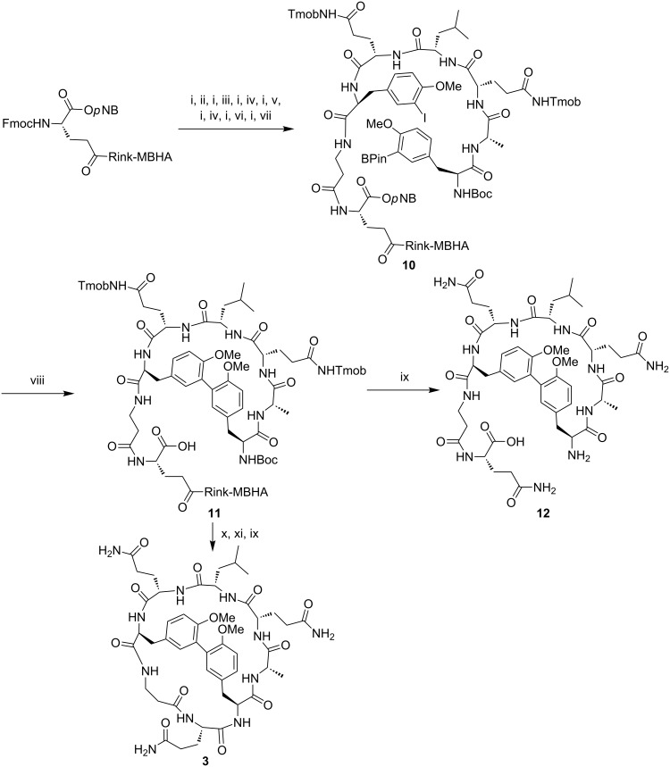 Scheme 4