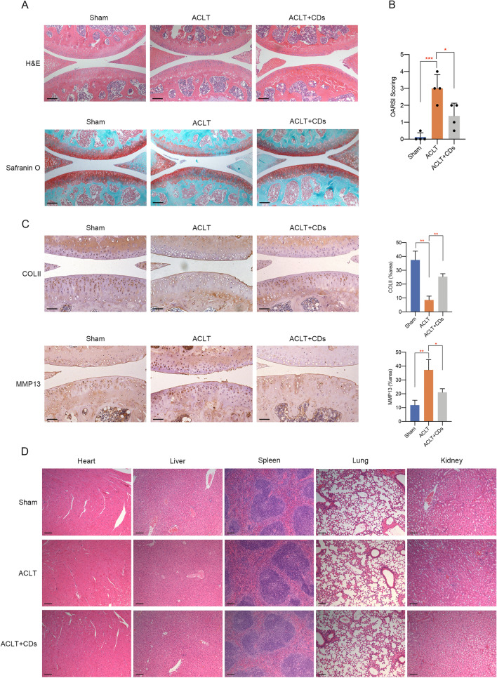 Fig. 11