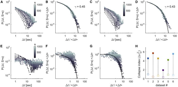 Figure 5