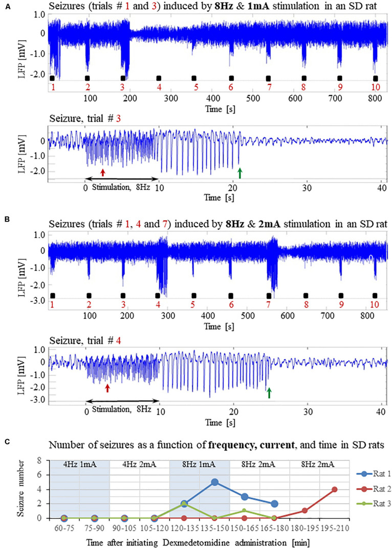 FIGURE 7