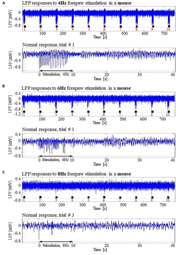 FIGURE 12