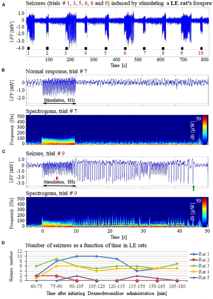 FIGURE 11