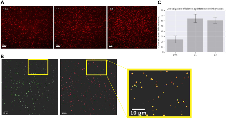 Figure 3