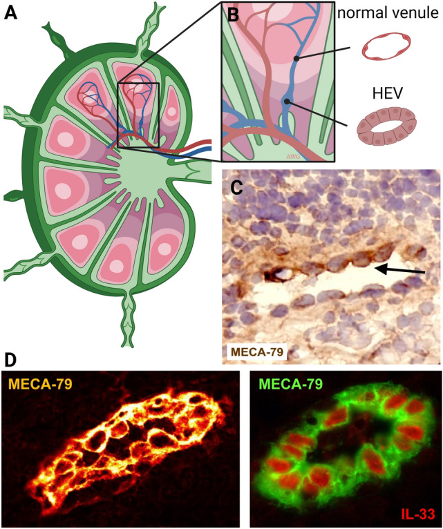 Fig. 9