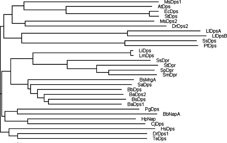 Fig. 1