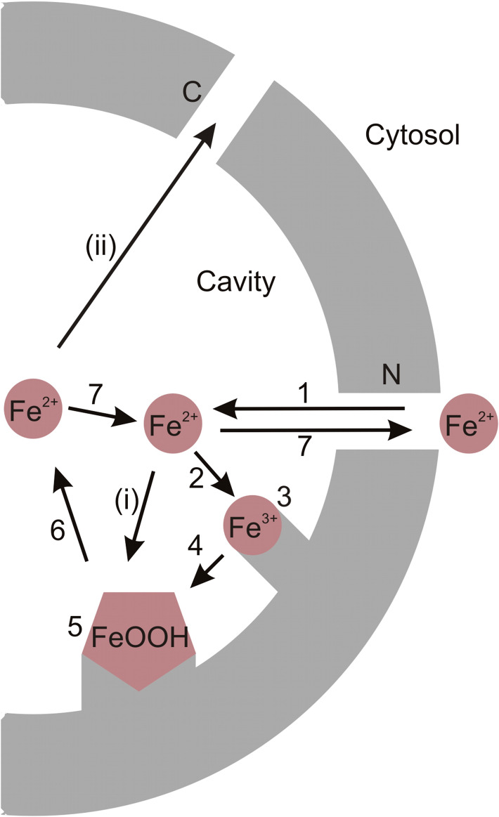 Fig. 3