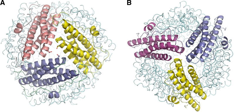 Fig. 4