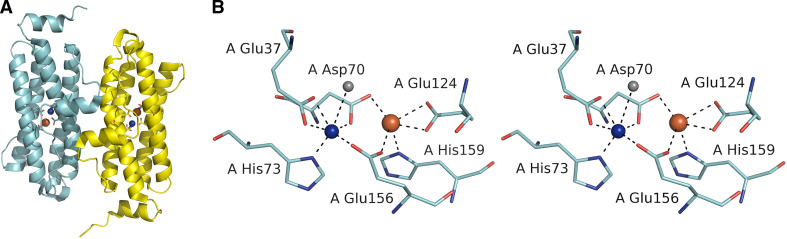 Fig. 6