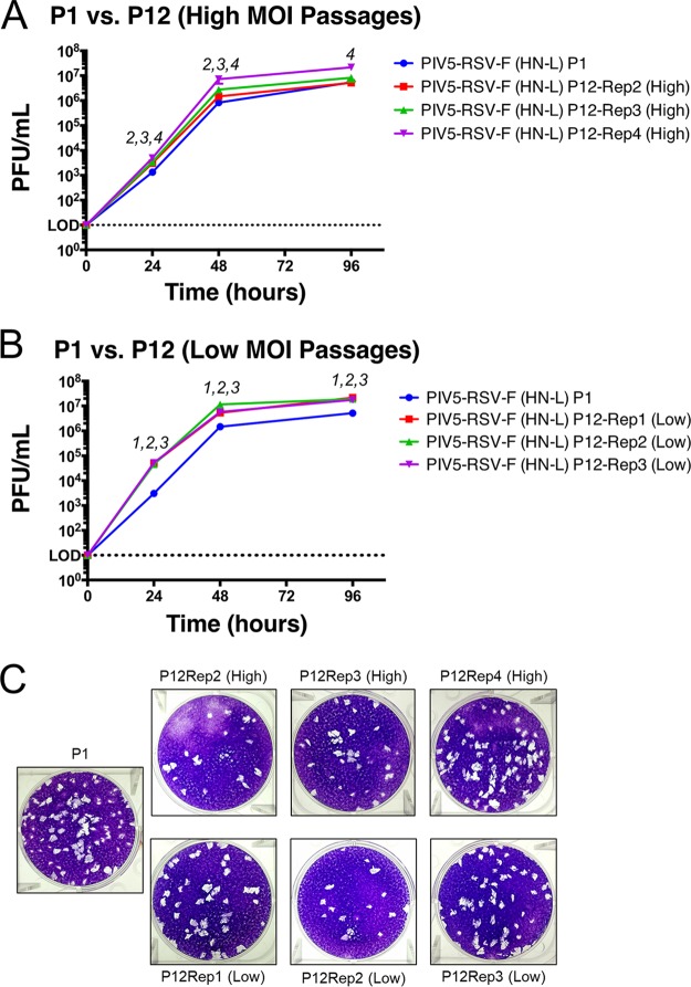 FIG 2