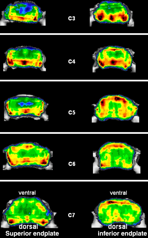 Fig. 3