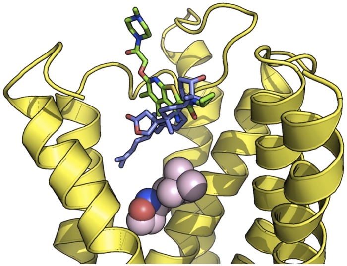 Fig 6