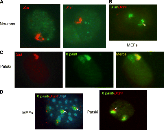 Fig. 3