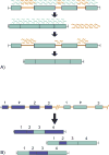 Fig. 3