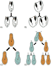 Fig. 2