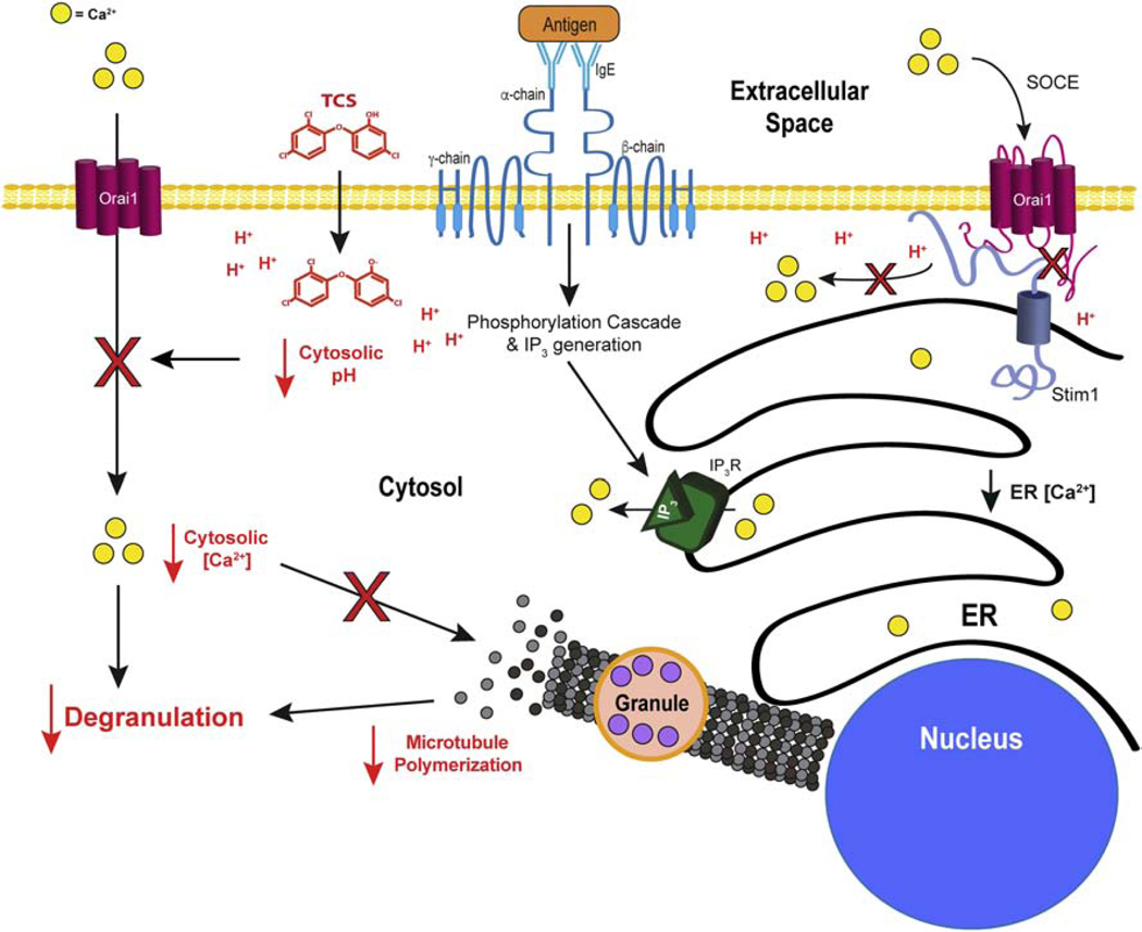 Figure 10.