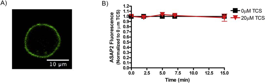 Figure 7.