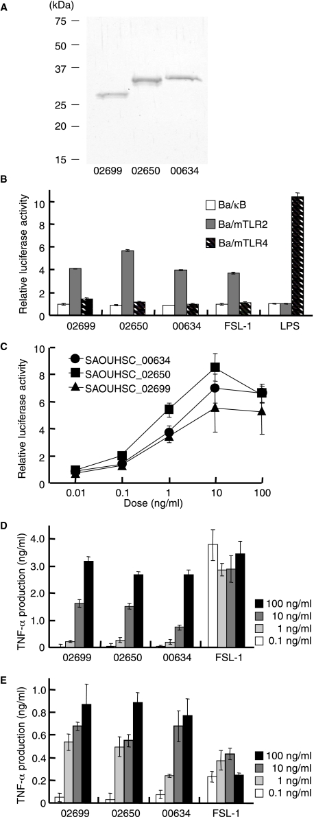 FIGURE 2.