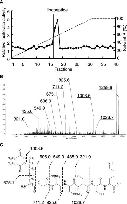 FIGURE 3.