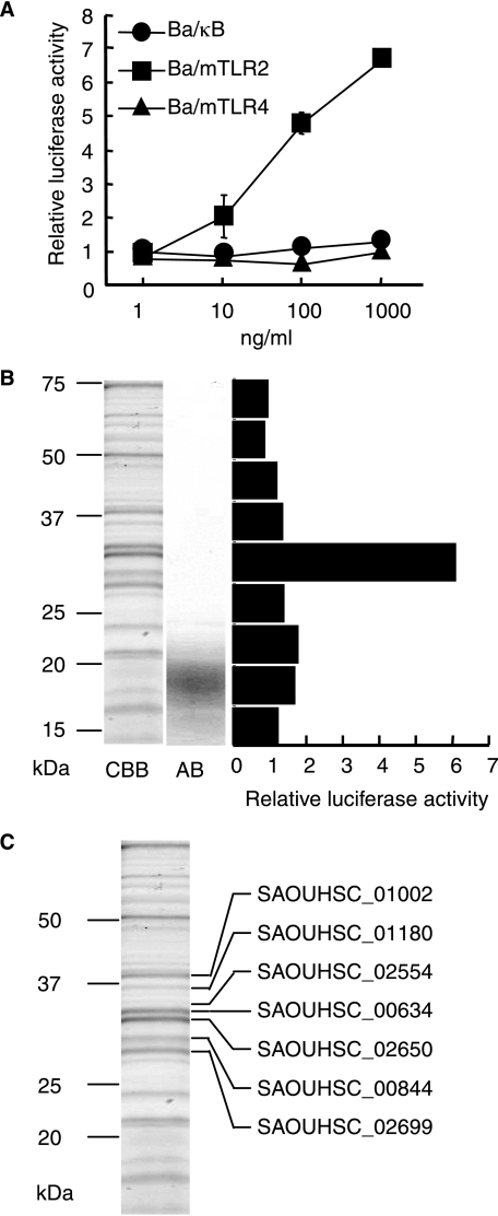 FIGURE 1.