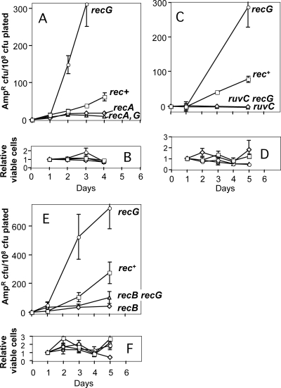 FIG. 1.