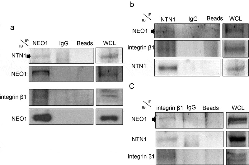 Figure 4.