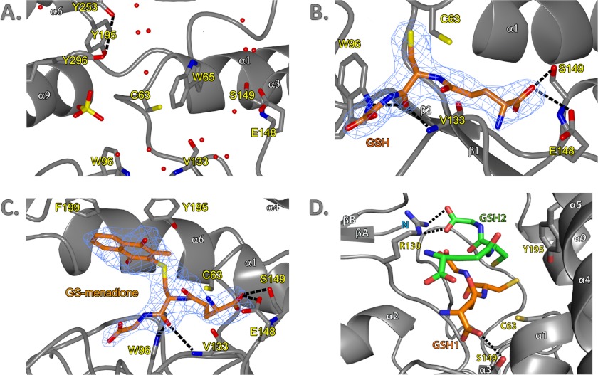 FIGURE 3.