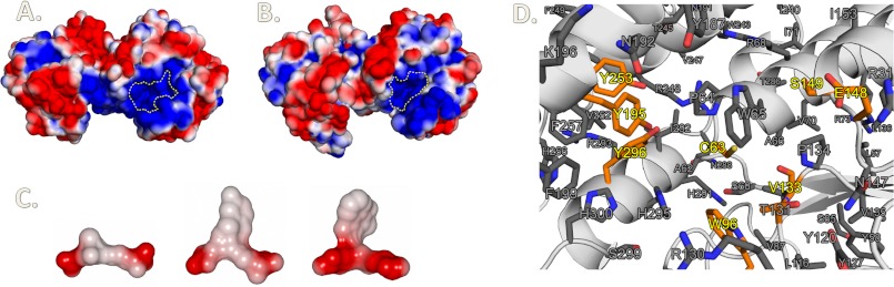 FIGURE 9.