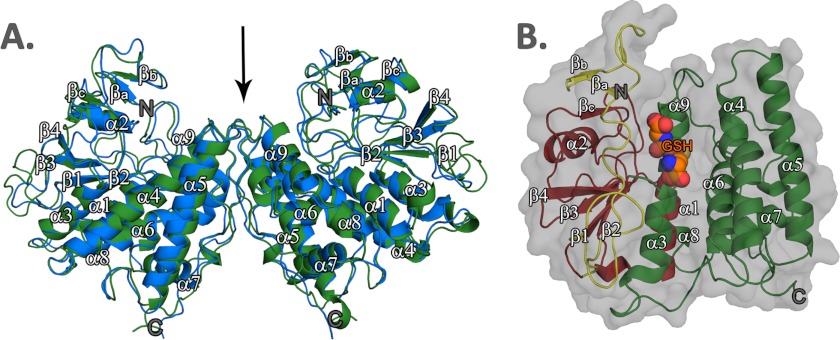 FIGURE 2.