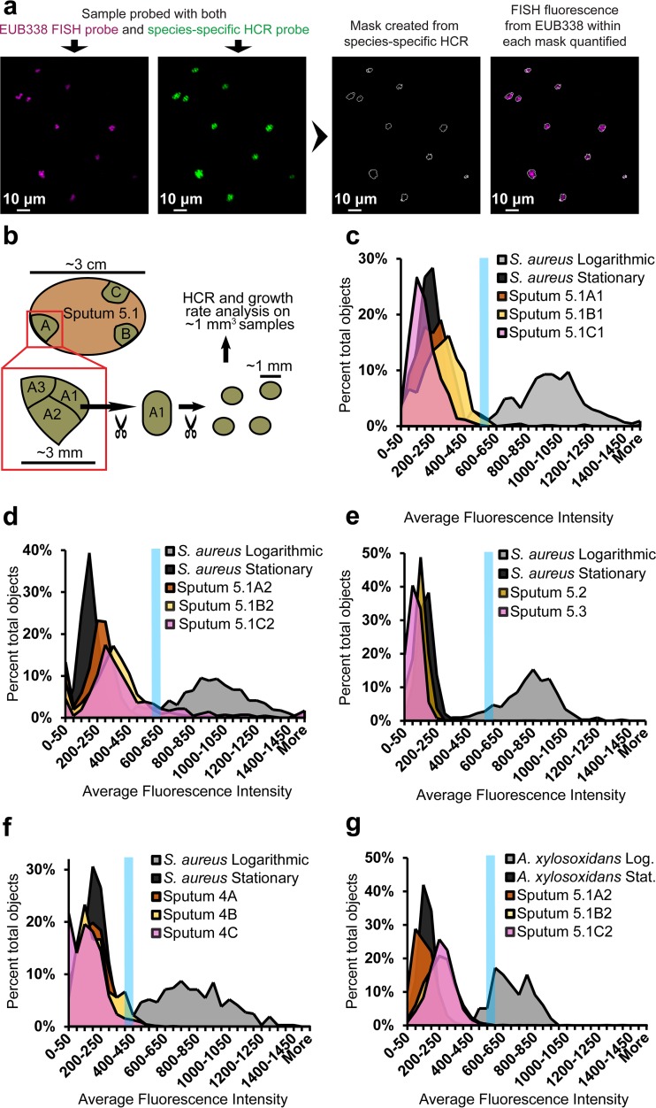 FIG 4 