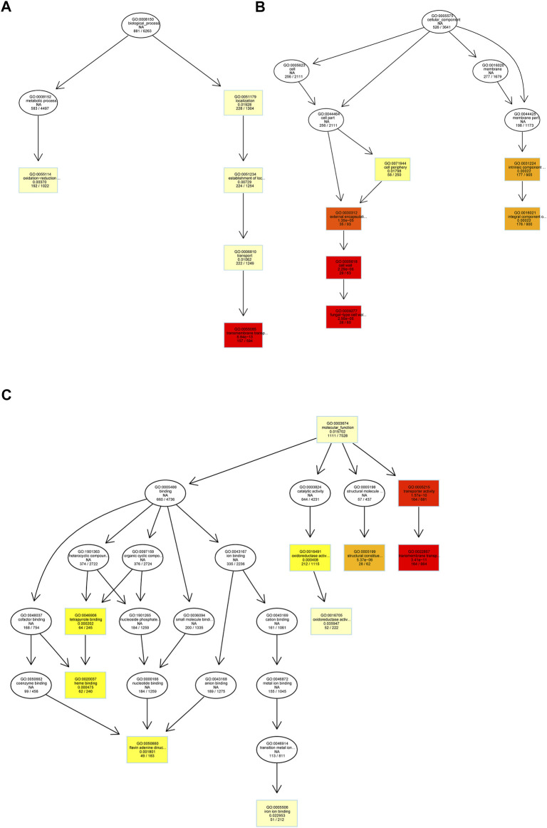 FIGURE 3