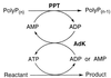 FIG. 1