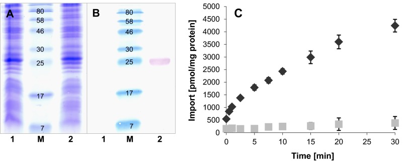 Fig 3