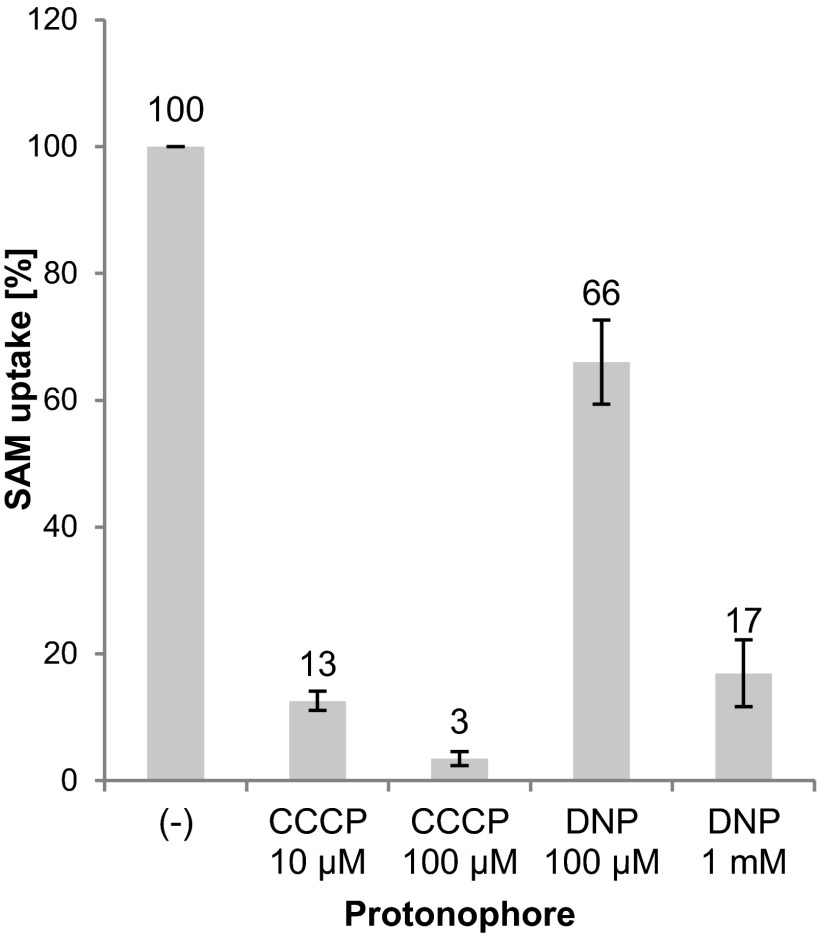 Fig 4