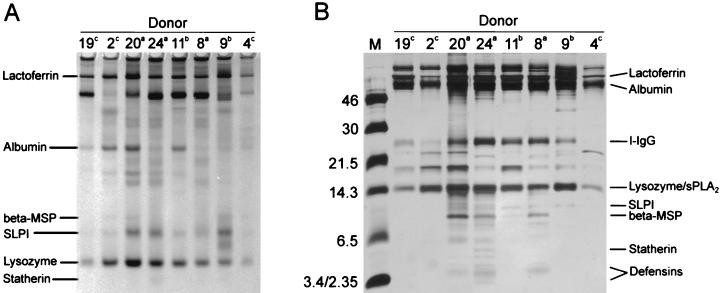 FIG. 5