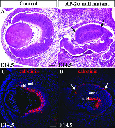 FIG. 9.