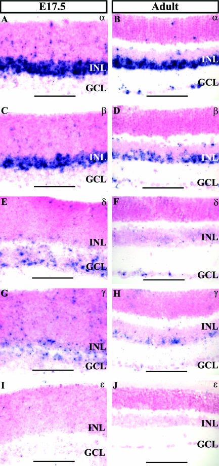 FIG. 11.