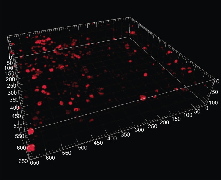 Figure 1. 