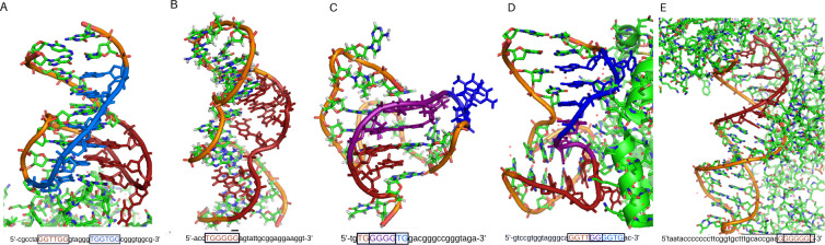 Fig 8