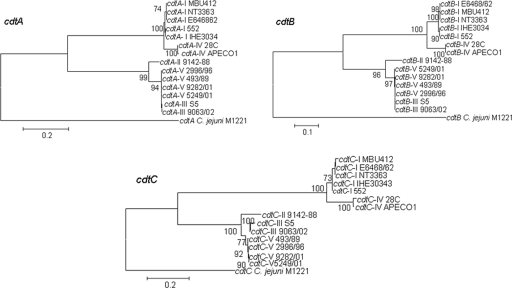 FIG. 2.