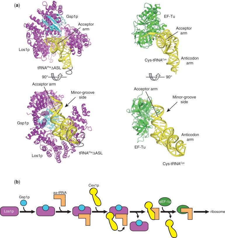 Figure 6.