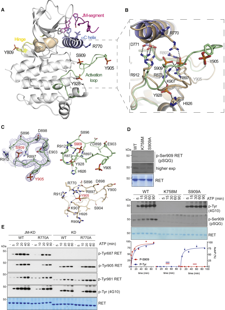 Figure 4