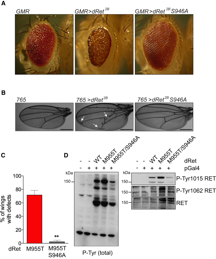 Figure 7