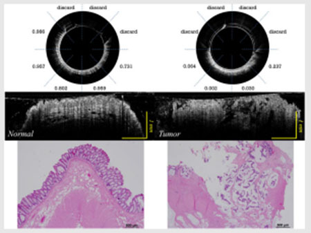 graphic file with name nihms-1841218-f0008.jpg