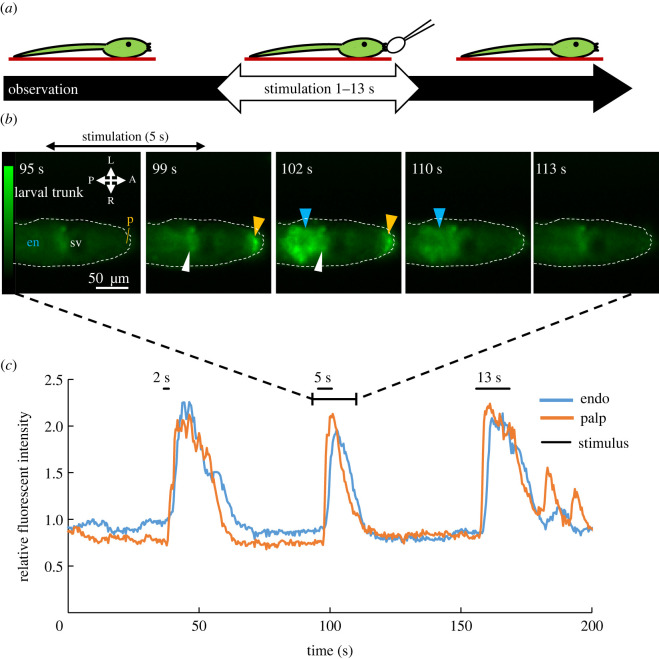 Figure 3. 