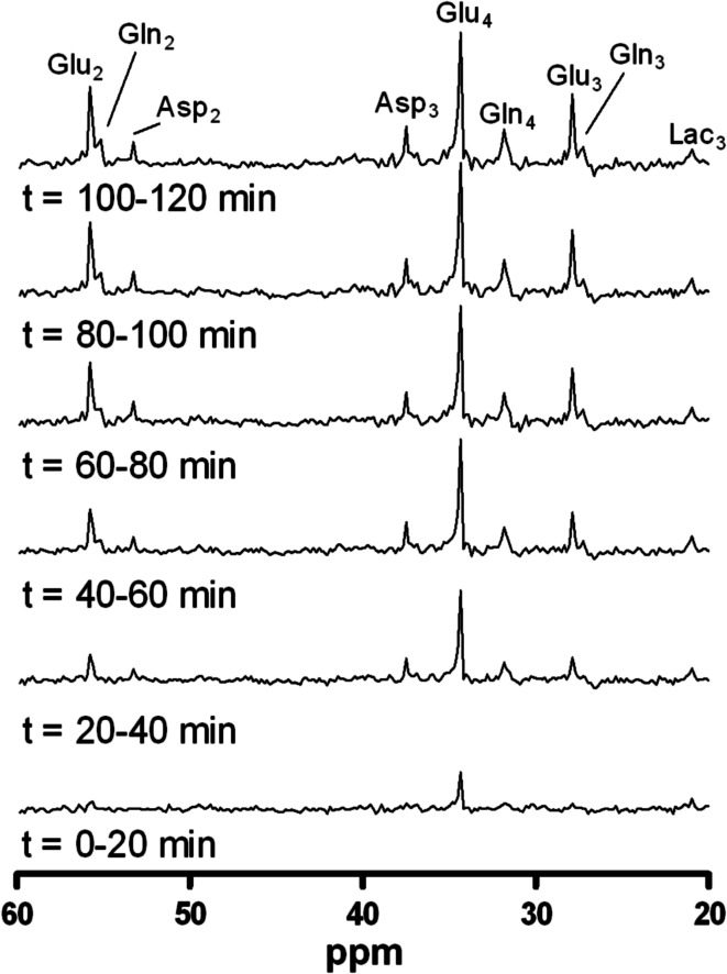 Fig. 2