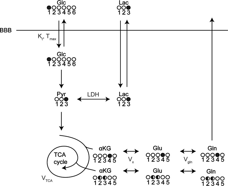 Fig. 3