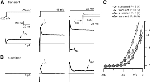 Fig. 7.