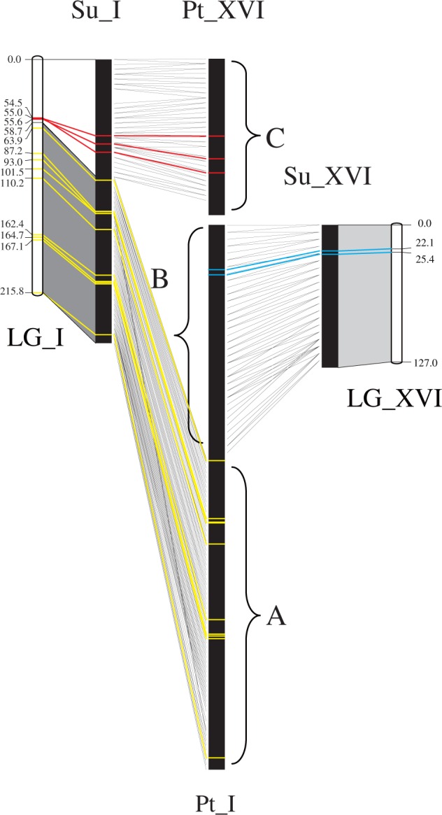 Fig. 3.—